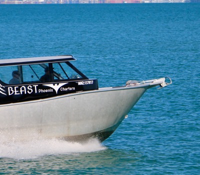 Auckland Fishing with Phoenix Charters