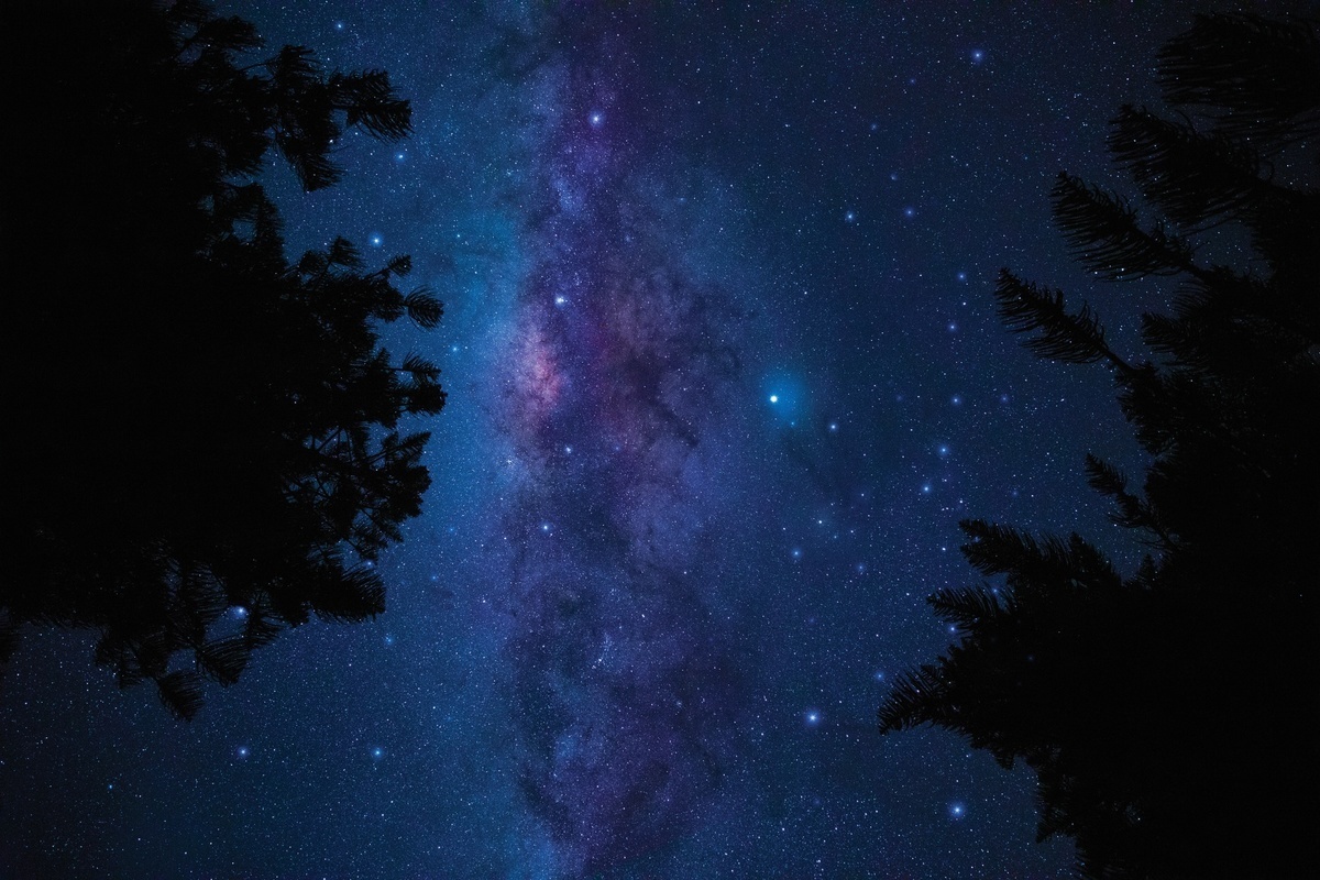 Night-Sky-at-Great-Barrier.jpg