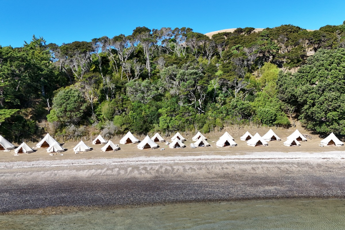 Social Nature Movement