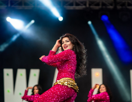 Diwali Through the Years - Image 10