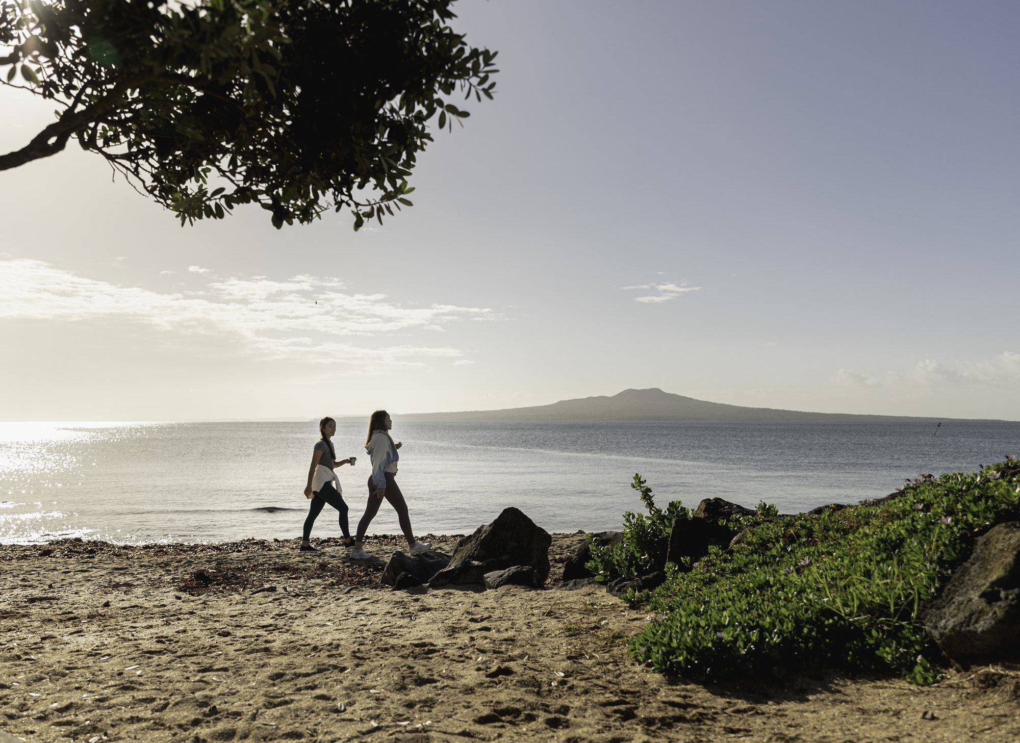 Free Things to Do in Auckland | Activities & Attractions