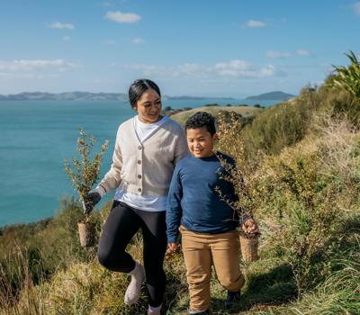 East Auckland  Walks You  Simply Must Do