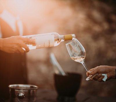 Discover Auckland's Wine Bar Scene