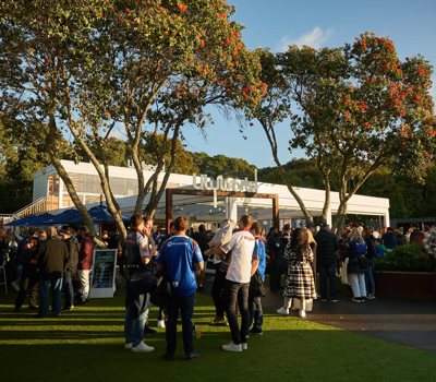 Top 10 Bars in Auckland for Watching Sports