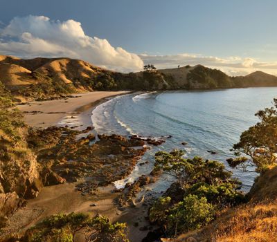 How to have a Sustainable Stay in Auckland