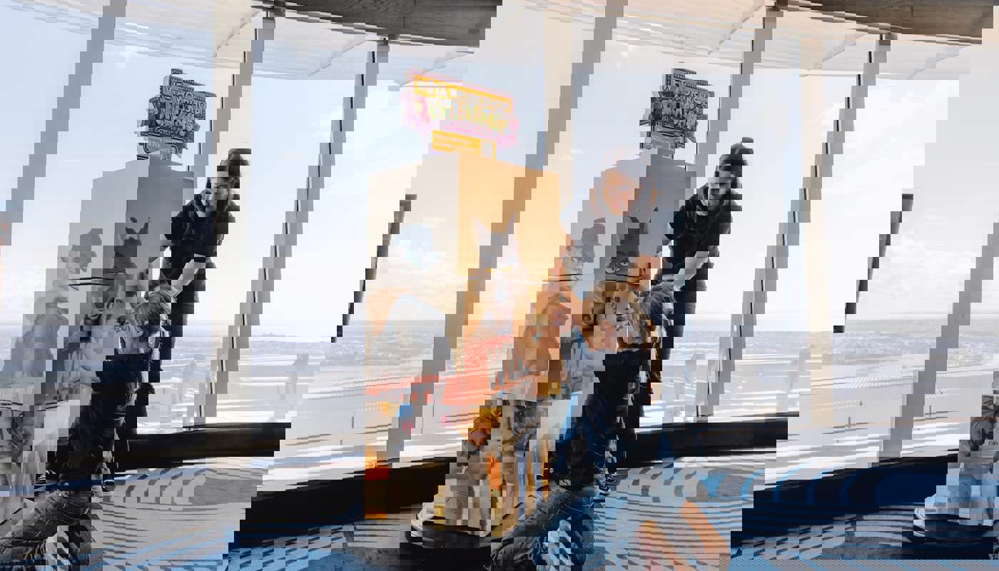 Carousel Image