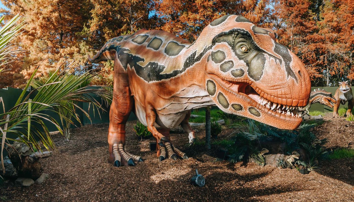 Carousel Image