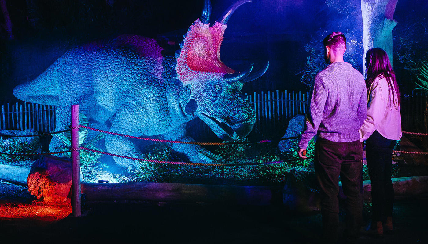 Carousel Image