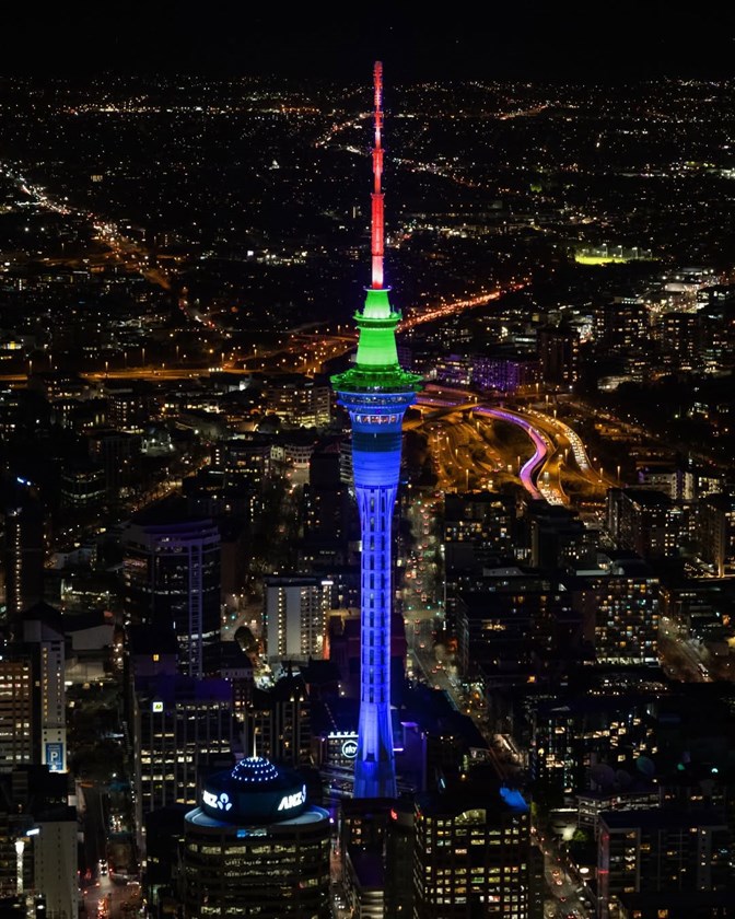 Vector Lights for One New Zealand Warriors