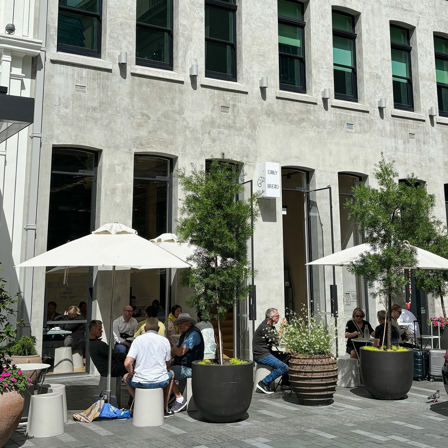 Daily Bread - Britomart