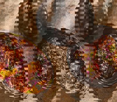 Advieh