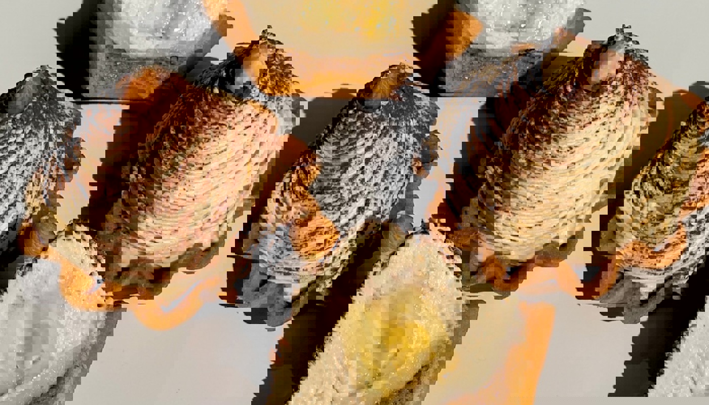 Carousel Image