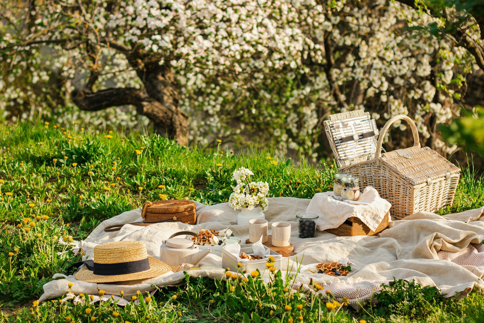11 spots for a picnic in Auckland