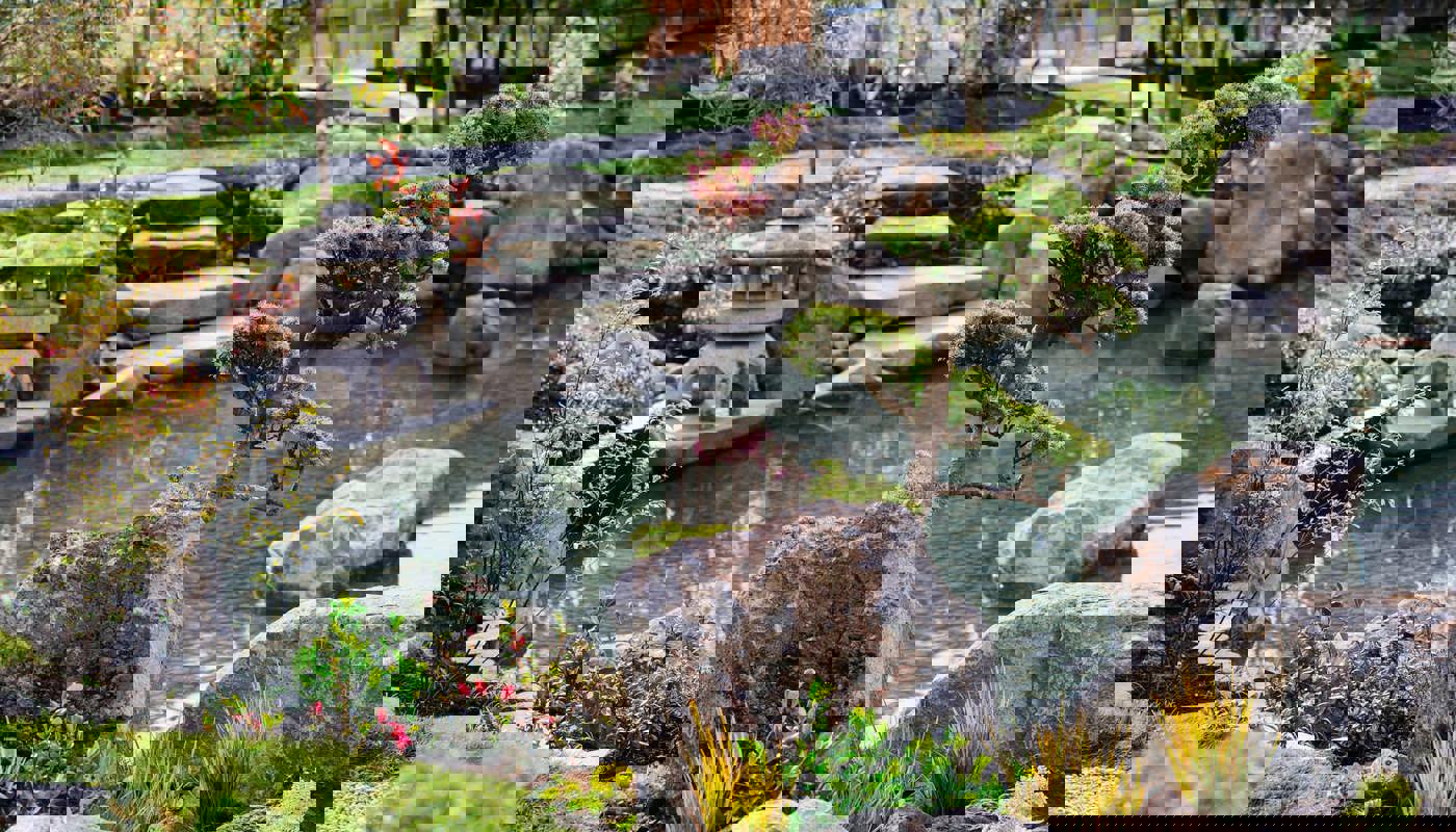 Carousel Image