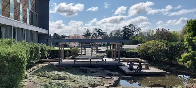 Henderson Civic Building  Japanese Garden 