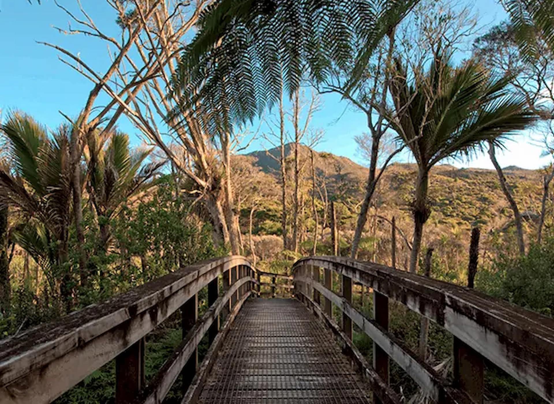 Kaitoke Hot Springs