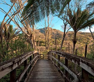 Kaitoke Hot Springs
