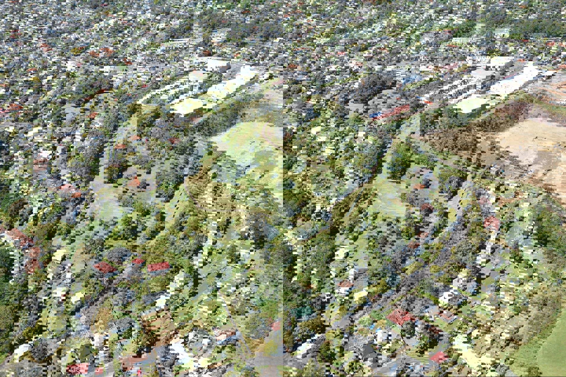 Te Tātua a Riukiuta Big King