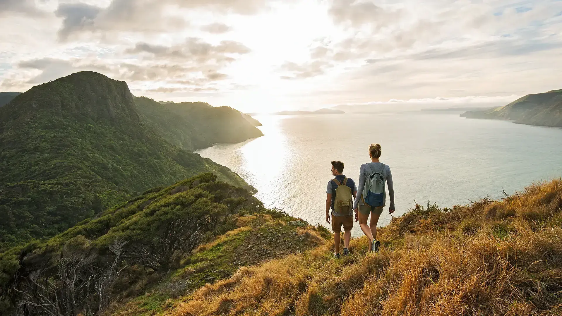 A guide to Auckland’s regional parks