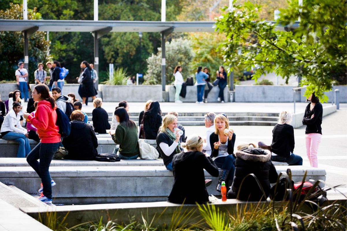 The ultimate students’ guide to Auckland