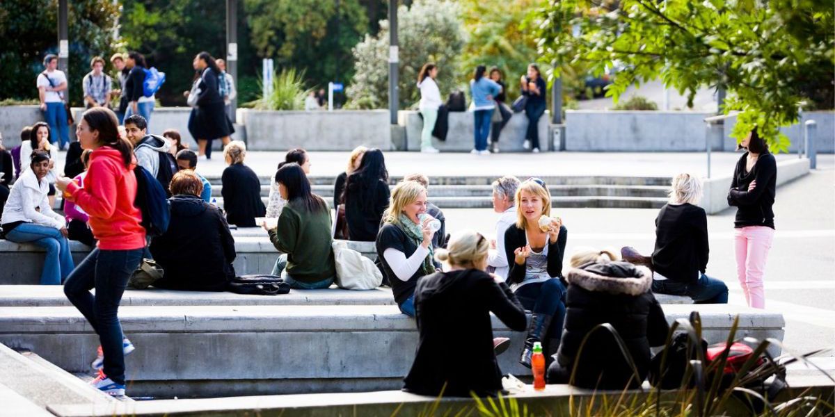 The ultimate students' guide to Auckland