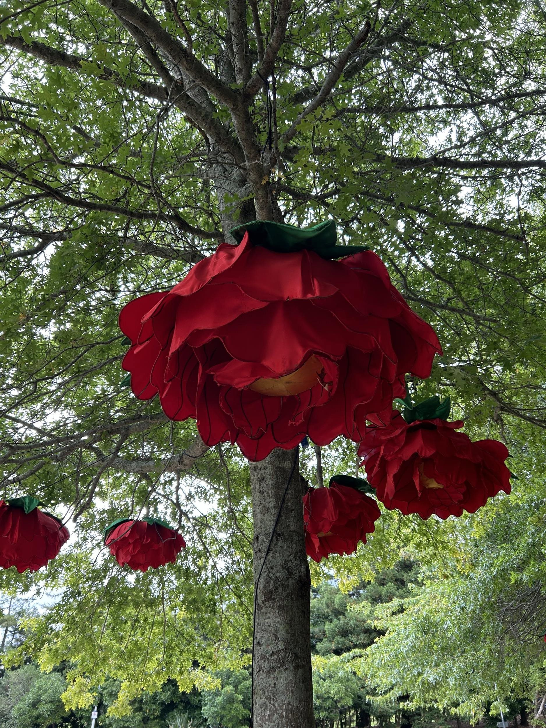 Two Column Image Text