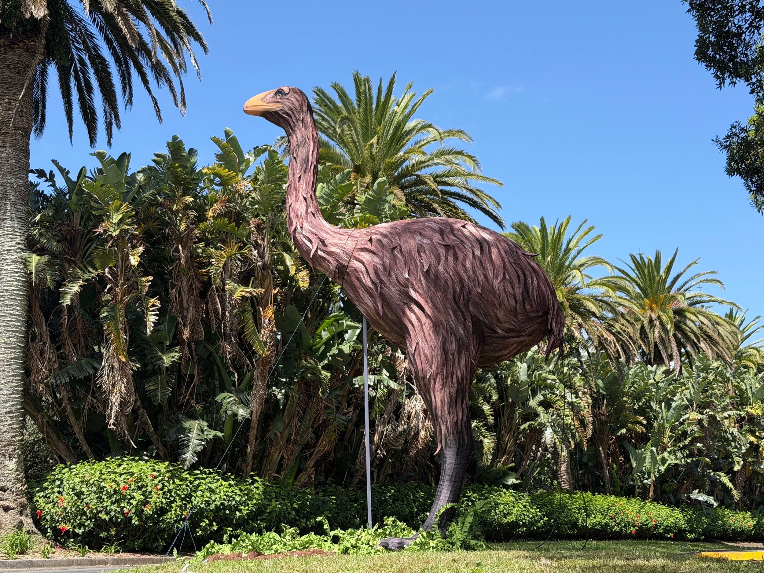 Two Column Image Text