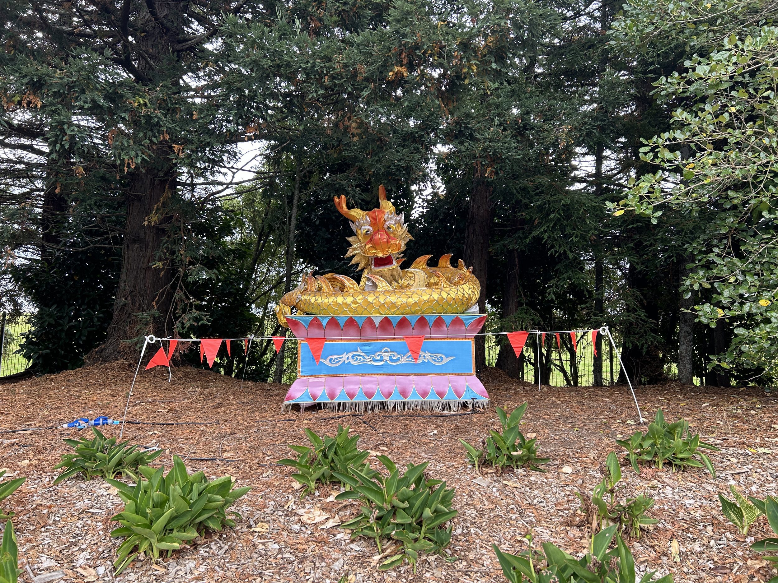 Two Column Image Text