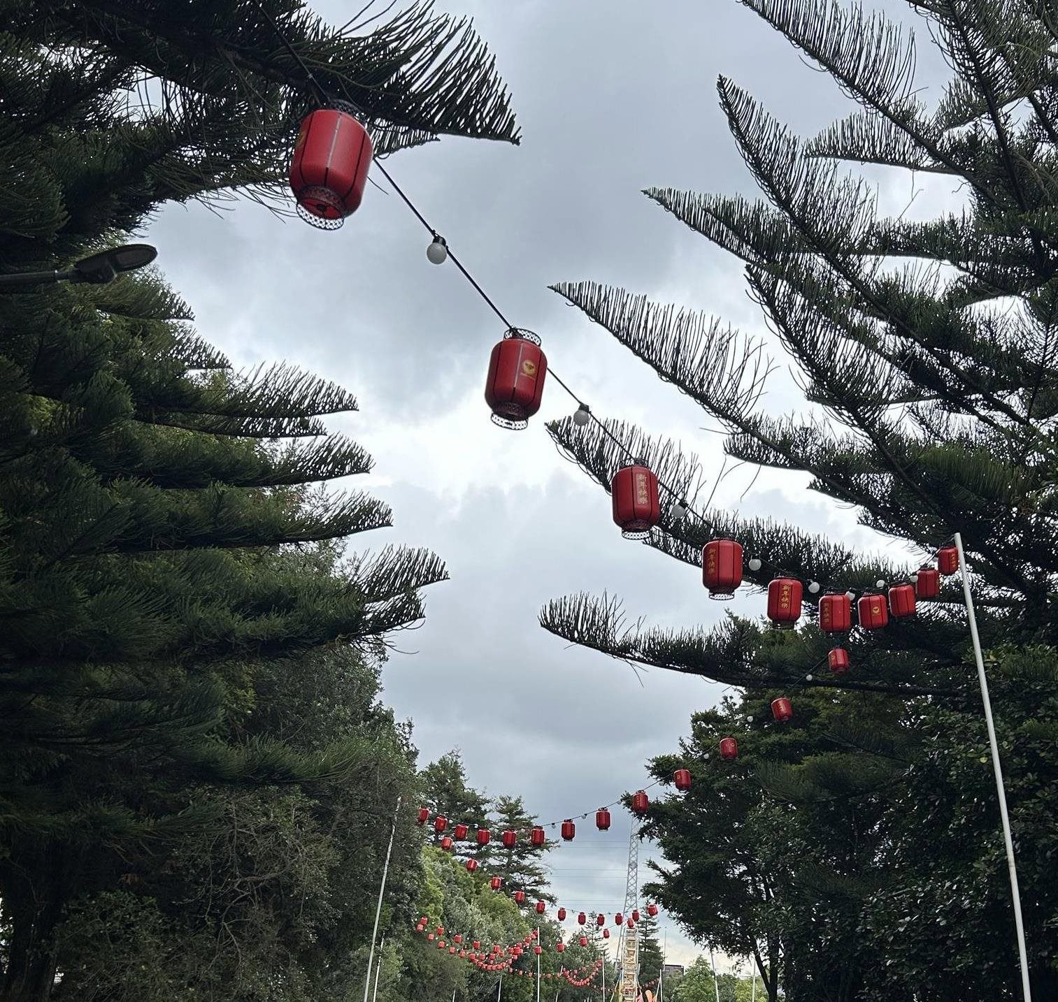 Two Column Image Text