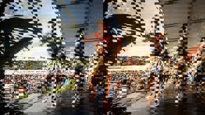 Two Column Image Text