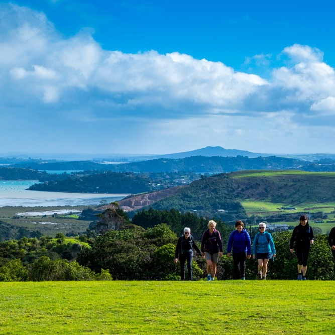 Incredible ways  to experience  Auckland