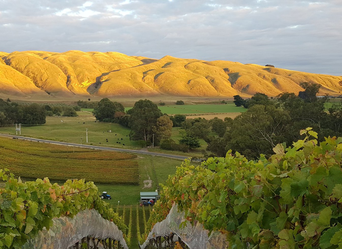 <span class='hyphen-text' lang='de'>Wine, food and outdoor escapades in West Auckland</span>