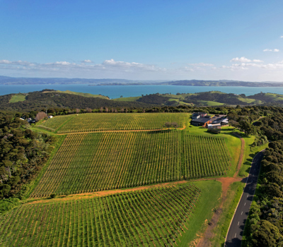 Batch   Winery