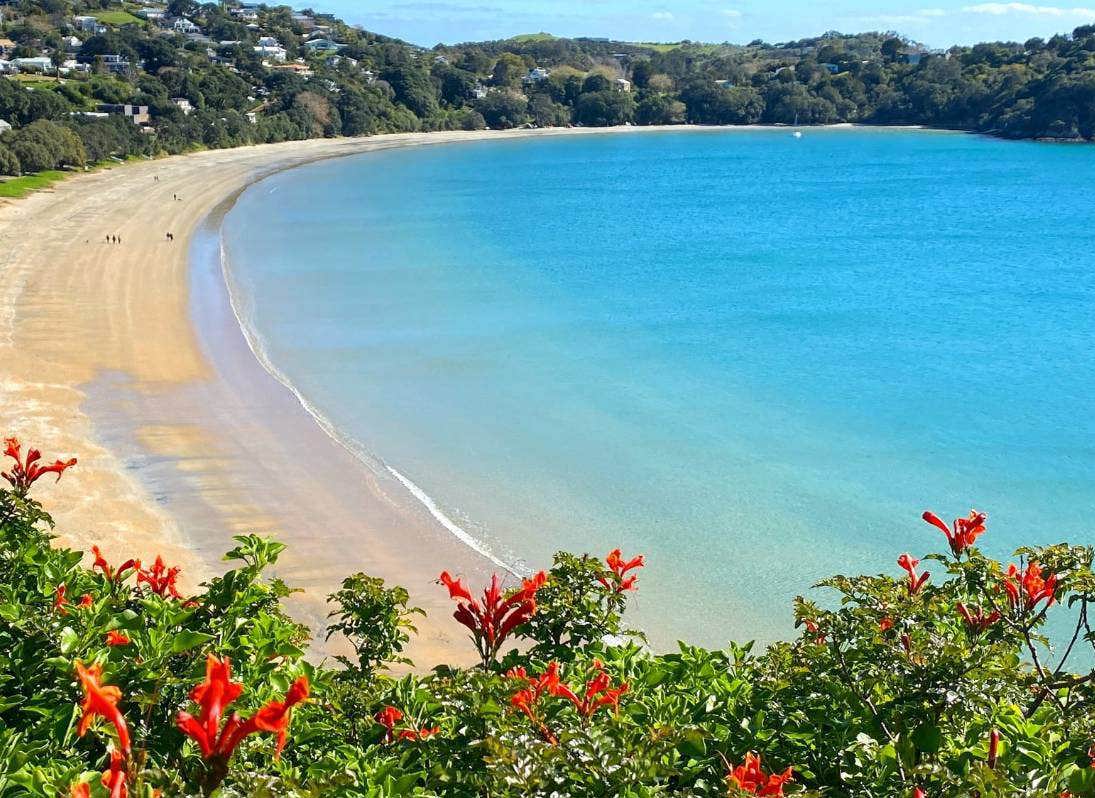 <span>Auckland's Hidden Beaches</span>