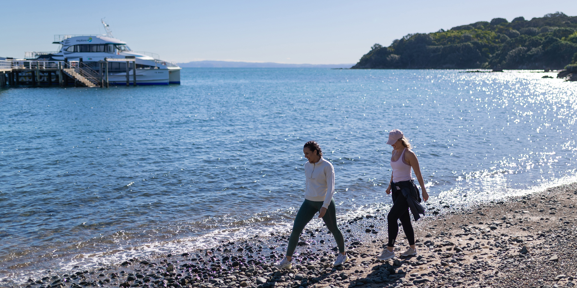 Tiritiri Matangi Island