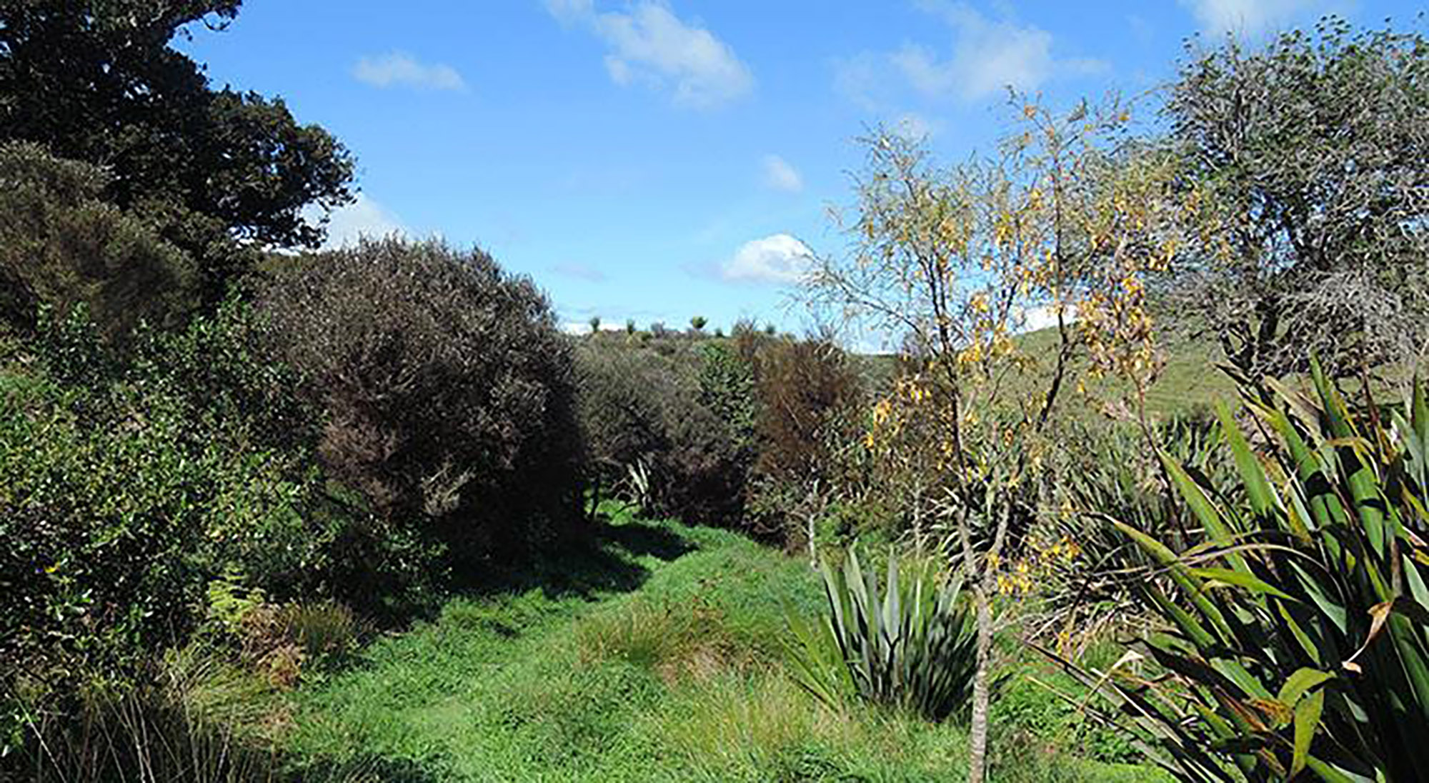 Duder Sustainable Path