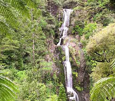 Kitekite Falls Path