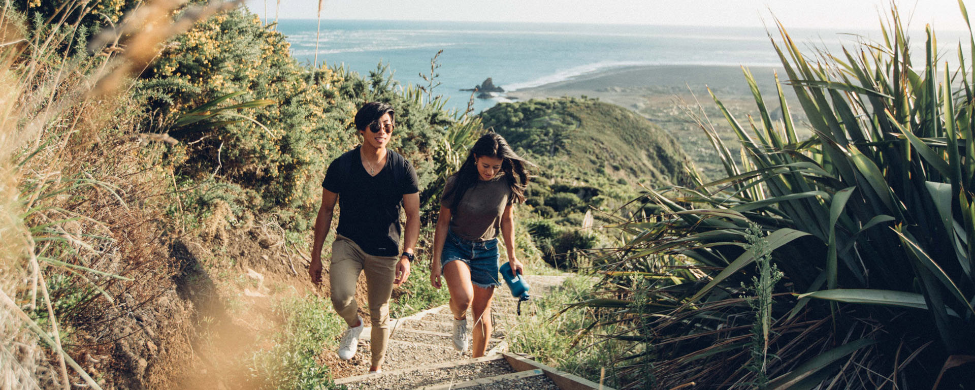Discover West Auckland's best walks