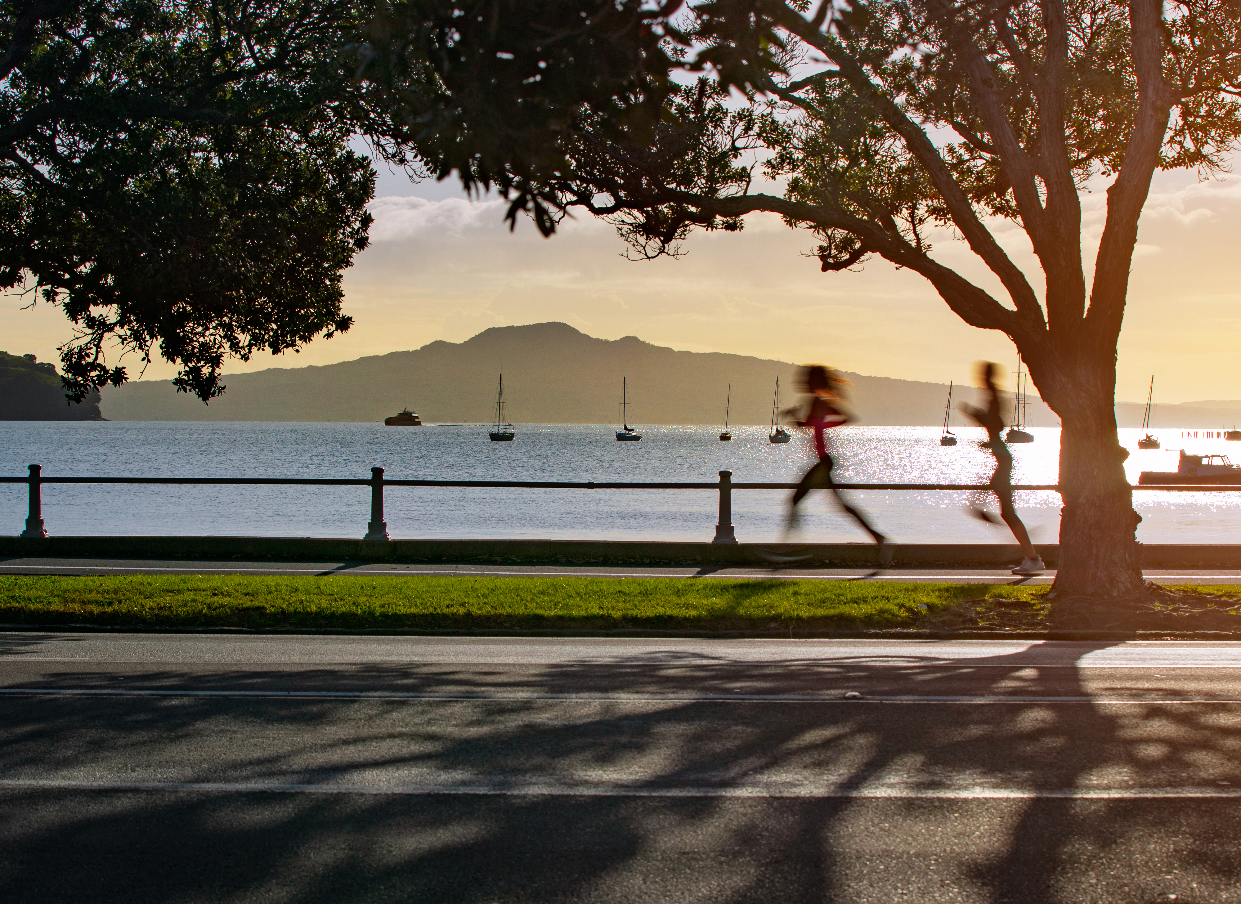 <span class='hyphen-text' lang='de'>Explore Tāmaki Drive from SEA LIFE Kelly Tarlton's</span>