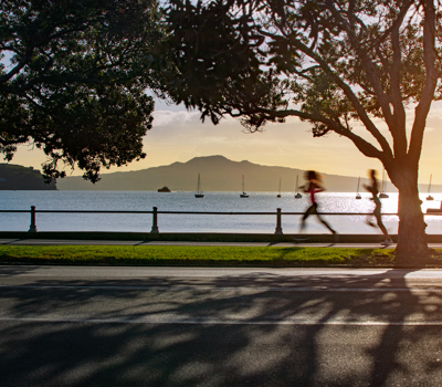 Explore Tāmaki Drive from SEA LIFE Kelly Tarlton's