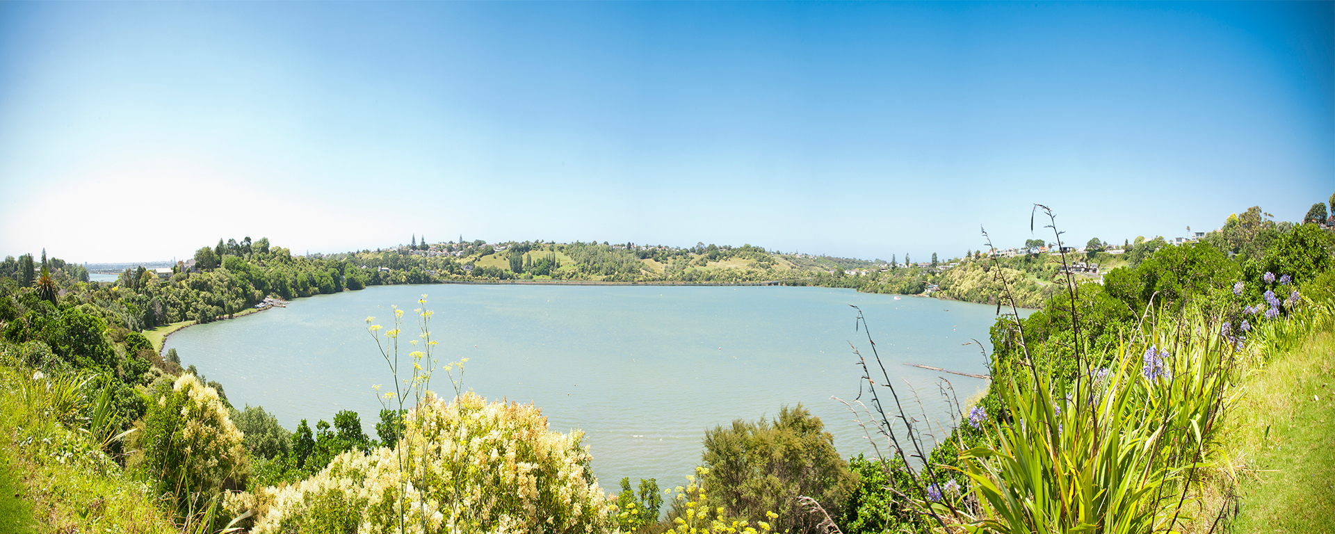 Ōrākei Basin Walkway 