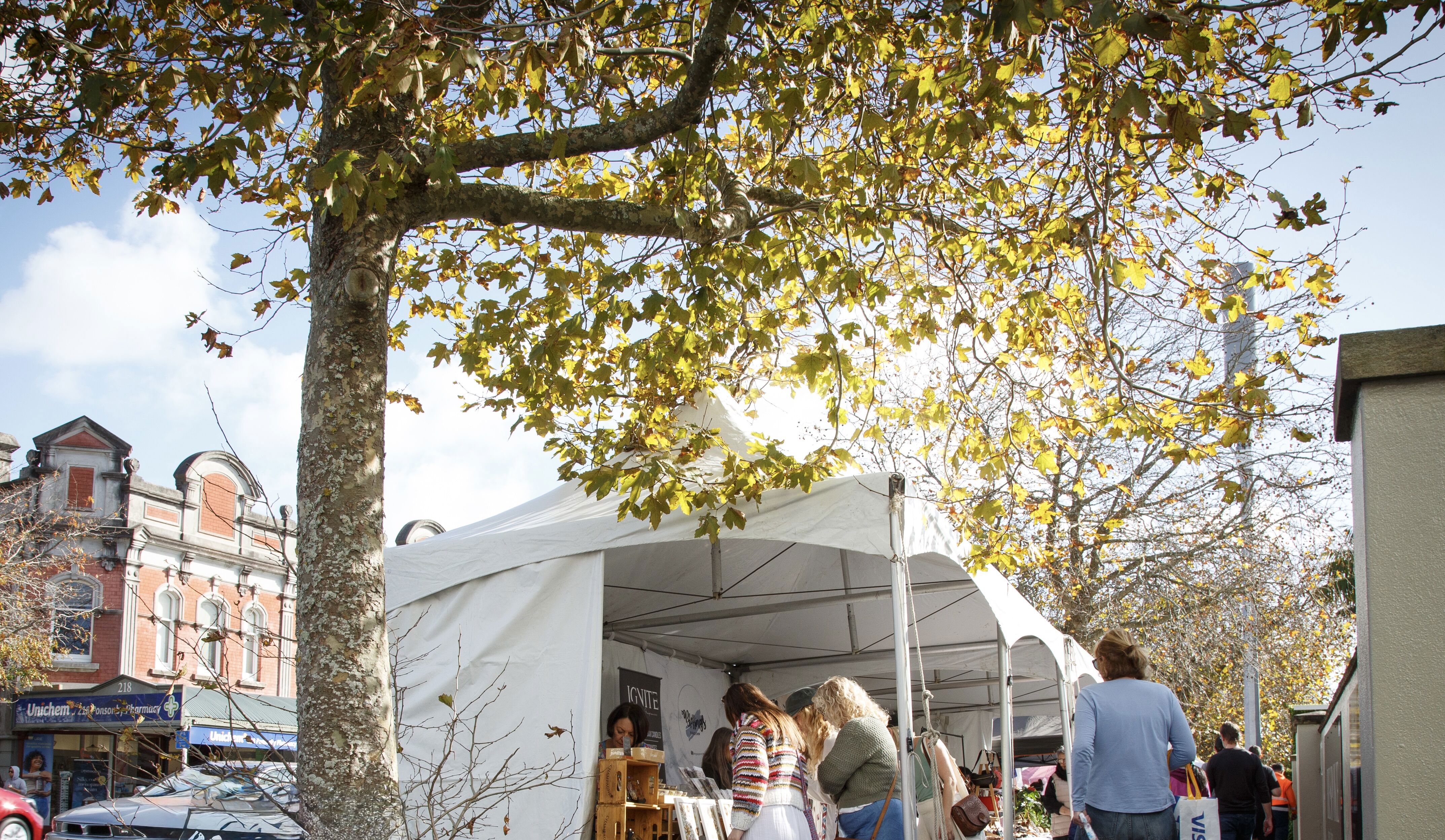 Ponsonby Christmas Market Day & General Collective Market