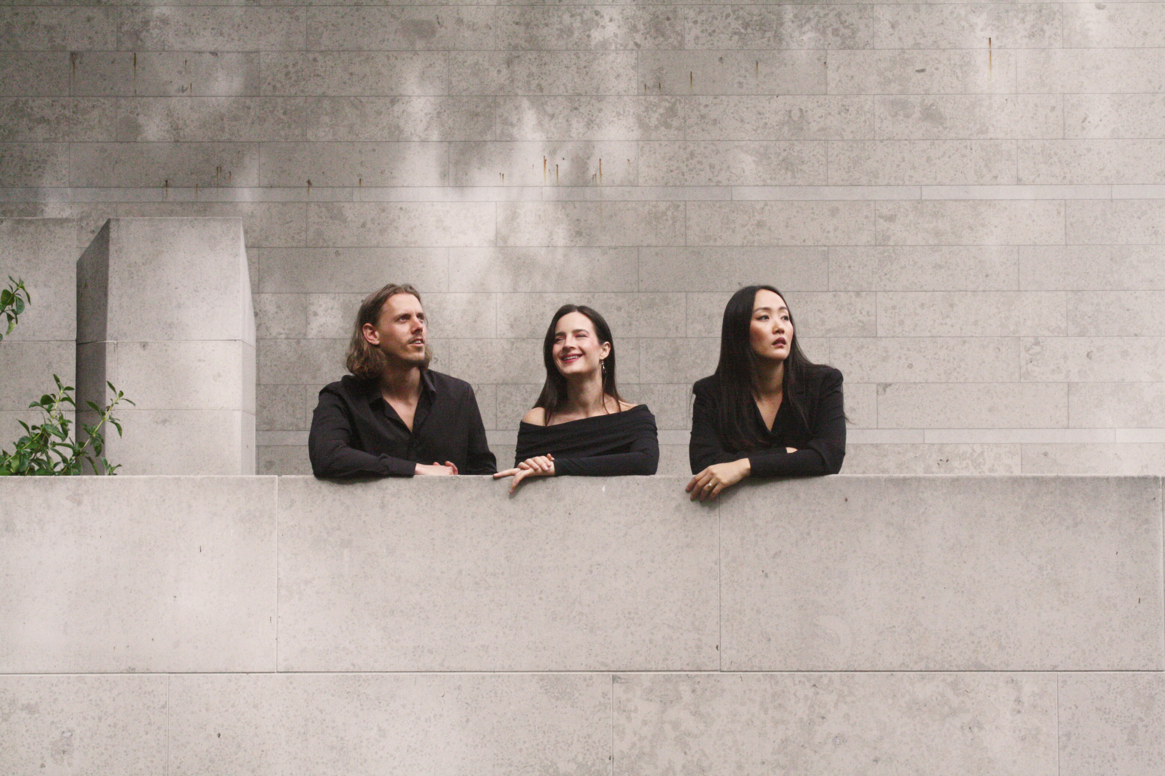 NZTrio+