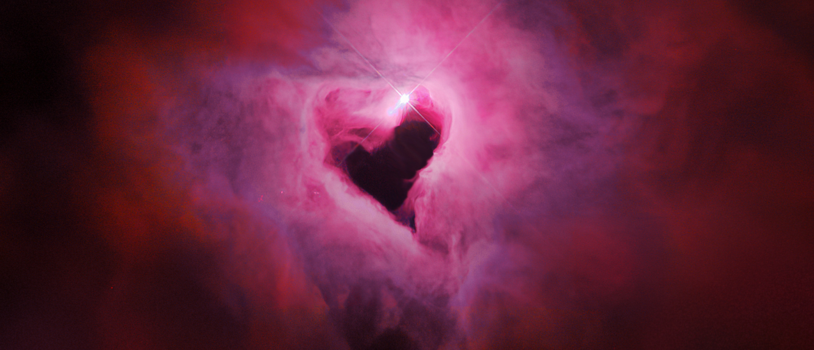 Written in the Stars: Valentine's Day 2026