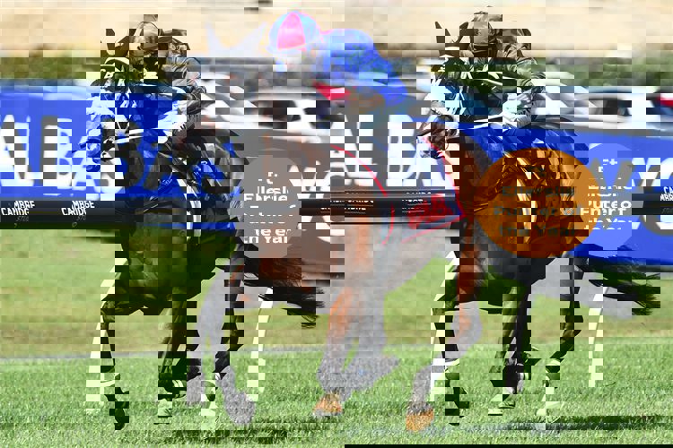 Eagle Technology Raceday