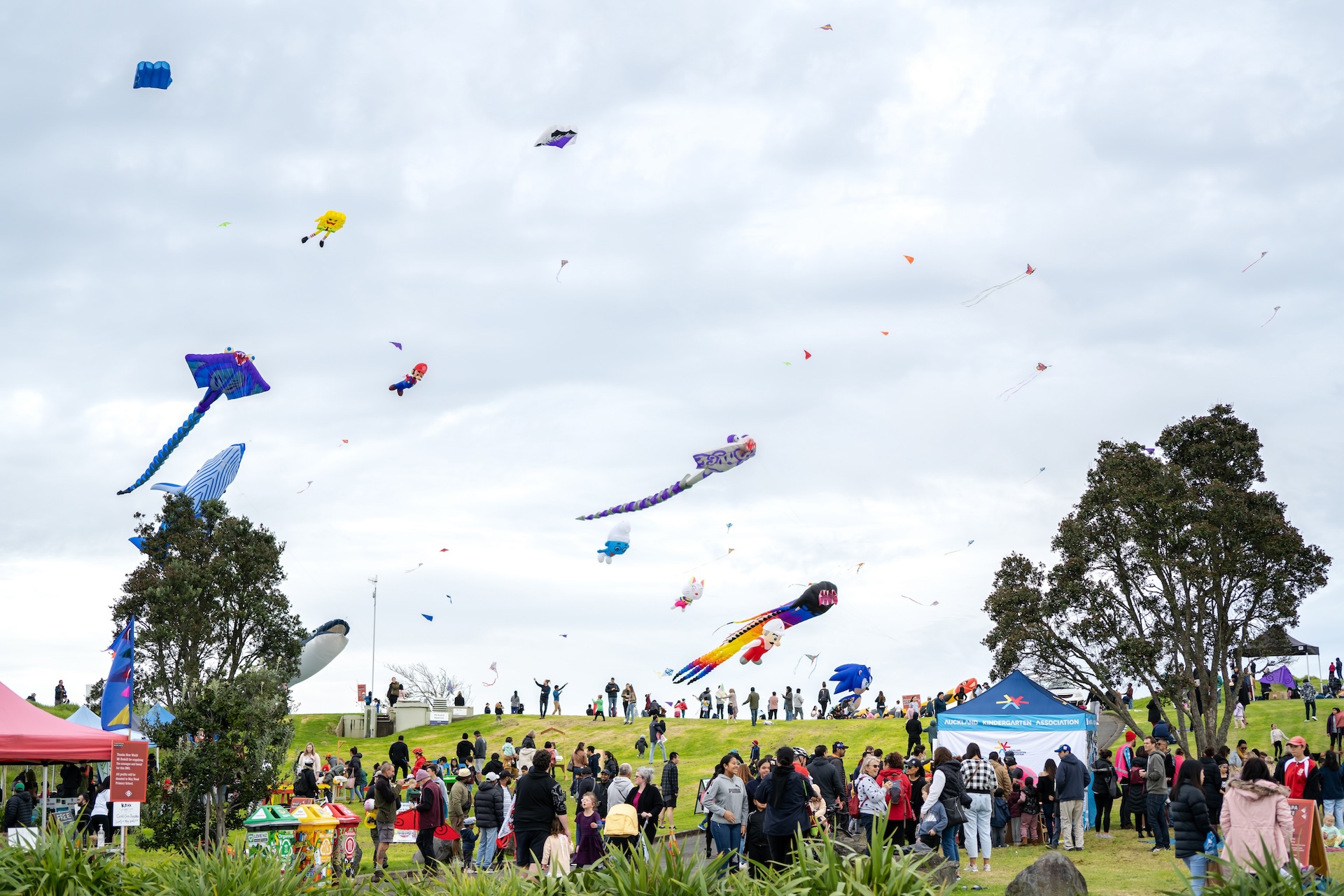 Puketāpapa Manu Aute Kite Day 2026