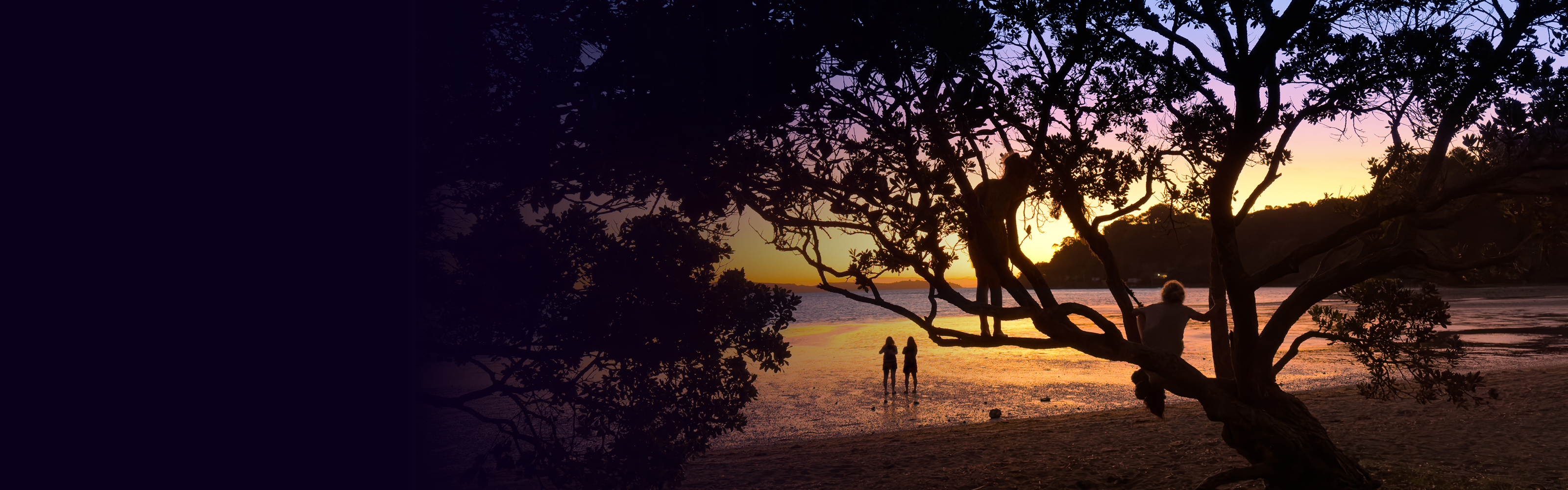Looking Back to Move Forward: The Call of Pōhutukawa