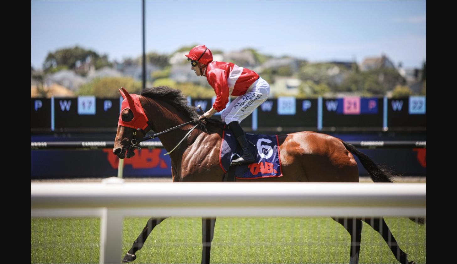 Cox Plate Raceday