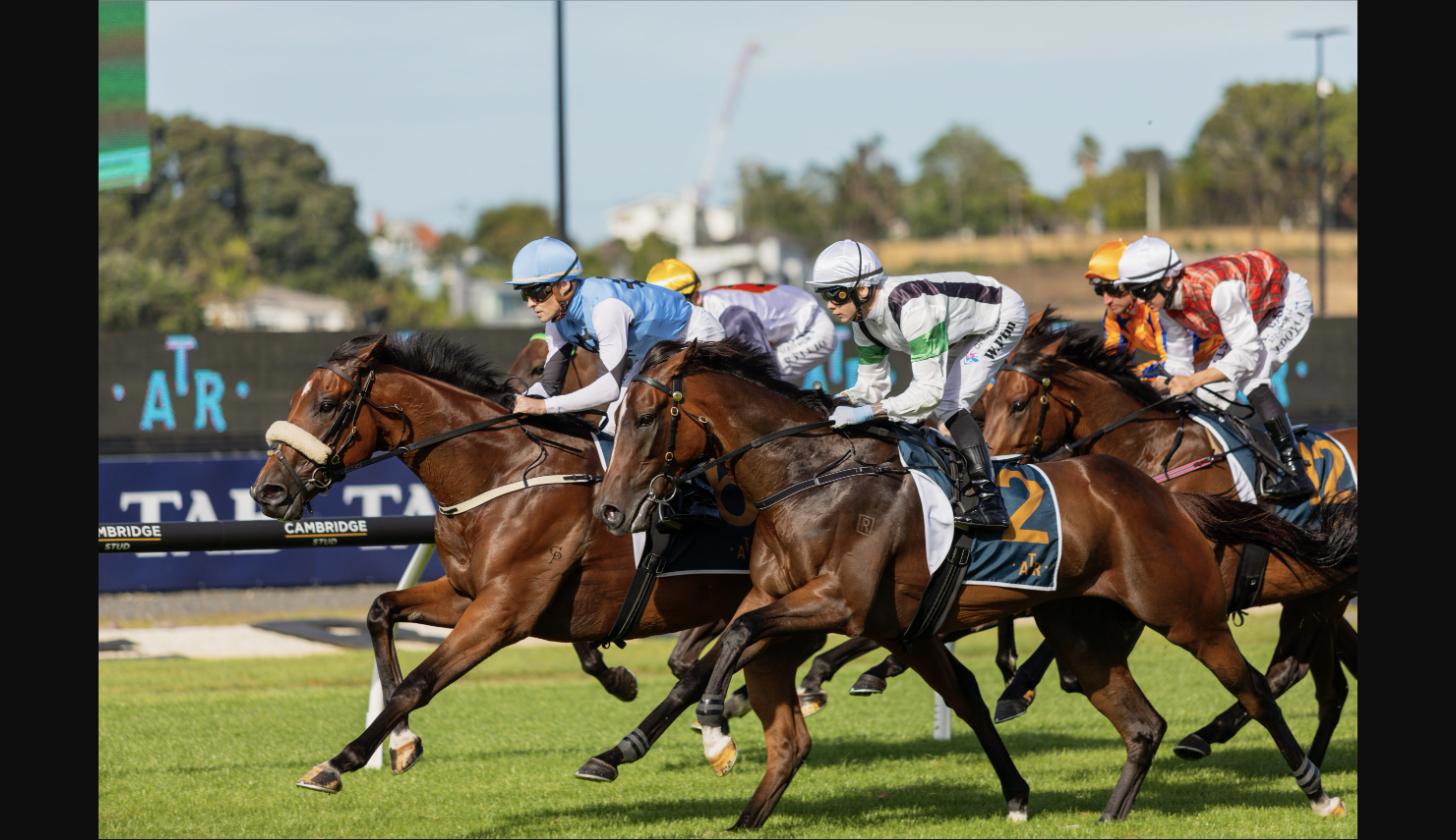 Eagle Technology Raceday