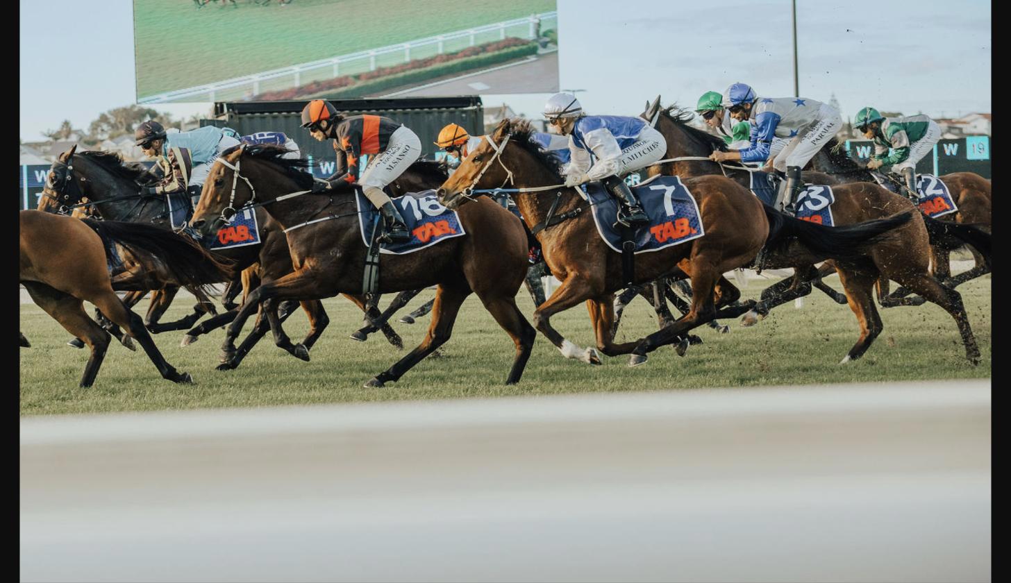 Autumn Raceday